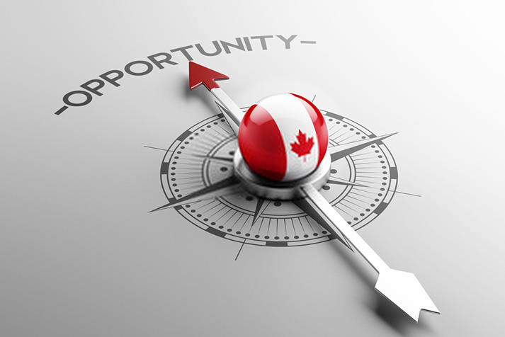 WHAT ARE THE MOST PROMISING BUSINESS OPPORTUNITIES IN CANADA_